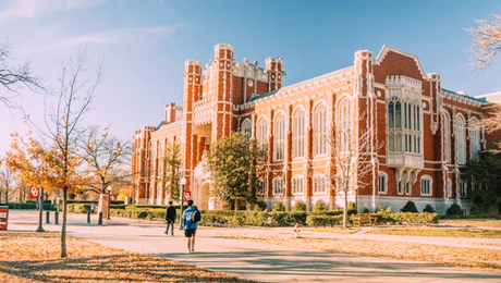 NEC Government Upgrade Solution