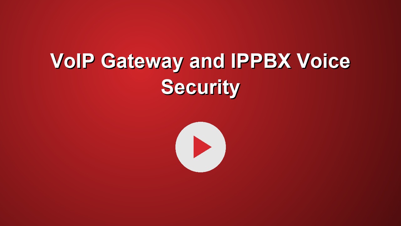 VoIP Gateway and IPPBX Voice Security