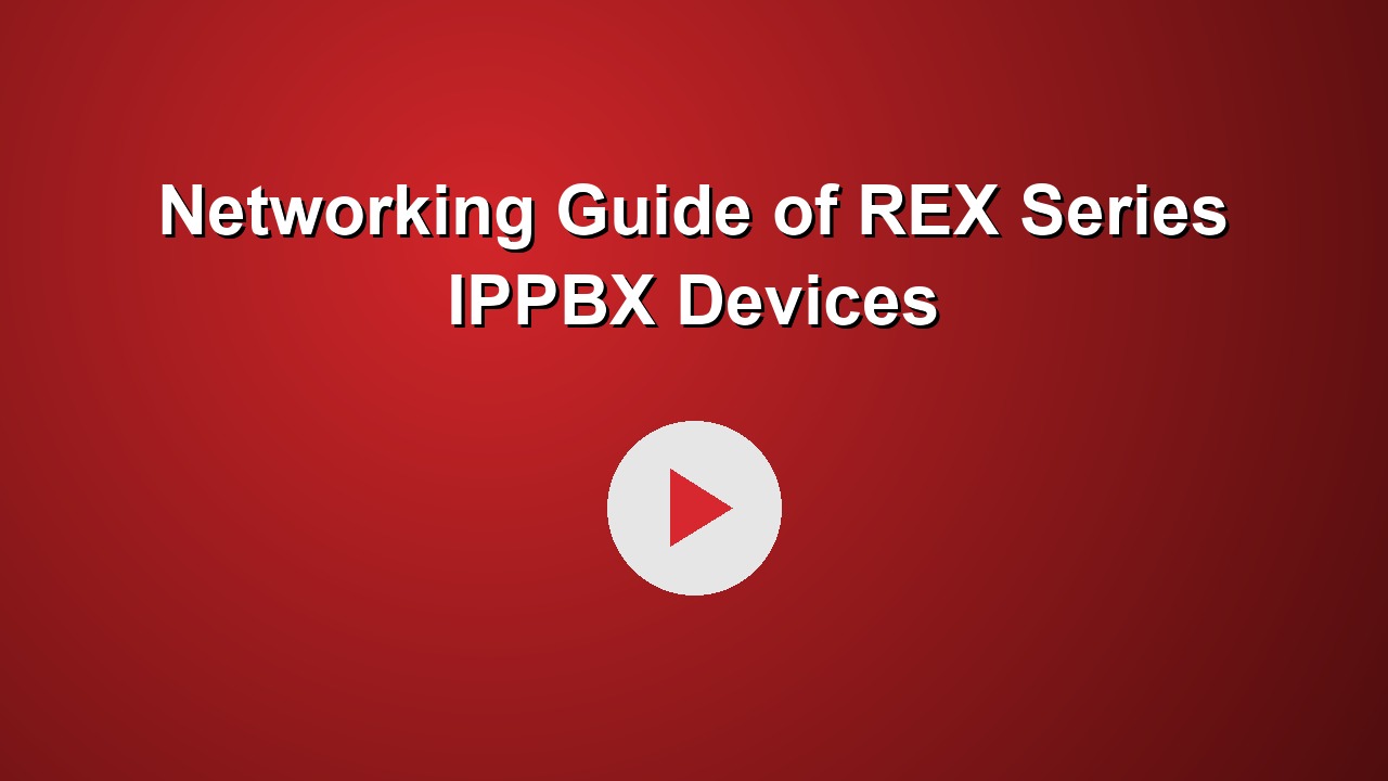 Networking Guide of REX Series IPPBX Devices